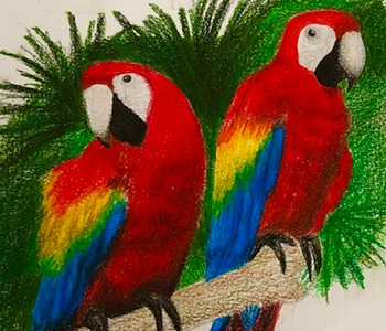 toucan kids artwork